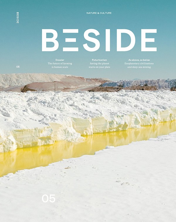 BESIDE