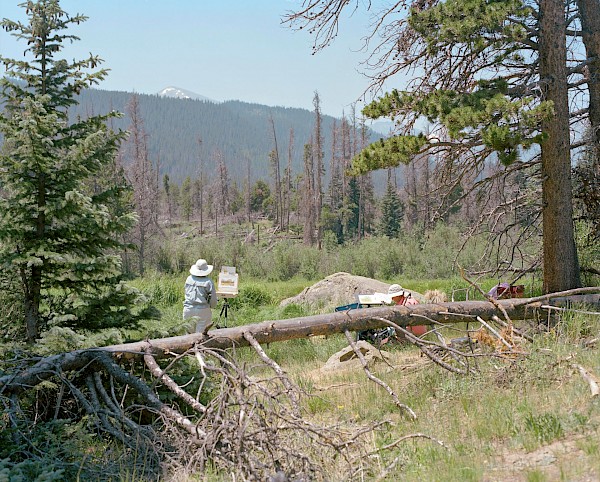 ROCKY MOUNTAINS | TIME